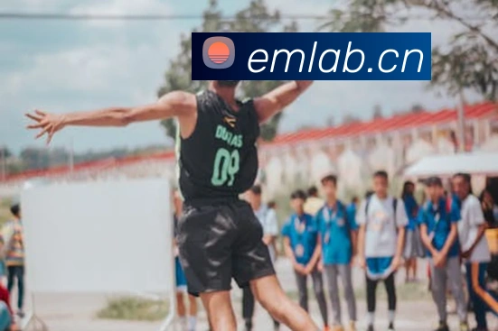 乐竞网站服务体系